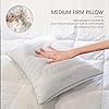 GRAND HAVEN PILLOW 2-PACK