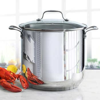 T-fal 16-Quart Stainless Steel Stock Pot